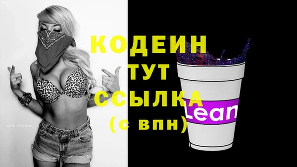 сатива Новокубанск