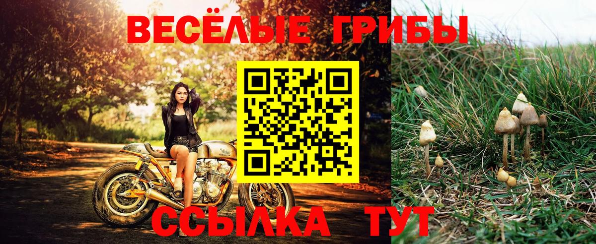 Москва  APVP СК   ЭКСТАЗИ  Вход с VPN  Амфетамин кристаллы  Гашиш  Кокаин  Метадон  Меф МЯУ МЯУ кристаллы 